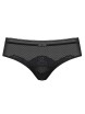 FIGI TRIUMPH DARLING SPOTLIGHT