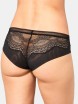 FIGI TRIUMPH DARLING SPOTLIGHT