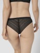FIGI TRIUMPH AURA SPOTLIGHT BRAZILIAN