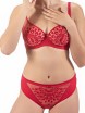 BIUSTONOSZ CLODI PAW CLB02