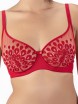 BIUSTONOSZ CLODI PAW CLB02
