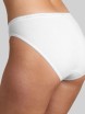 FIGI SLOGGI BASIC+TAI C2P
