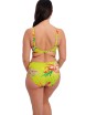 KOSTIUM KĄPIELOWY FANTASIE CALA MACARELLA 505278 DÓŁ OD BIKINI