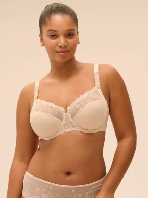 PODPRSENKA SIMONE PERELE DELICE 12X320