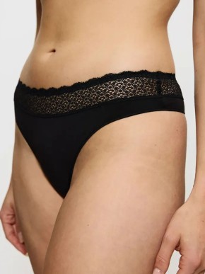 KALHOTKY TRIUMPH FEEL OF MODAL STRINGY 2P